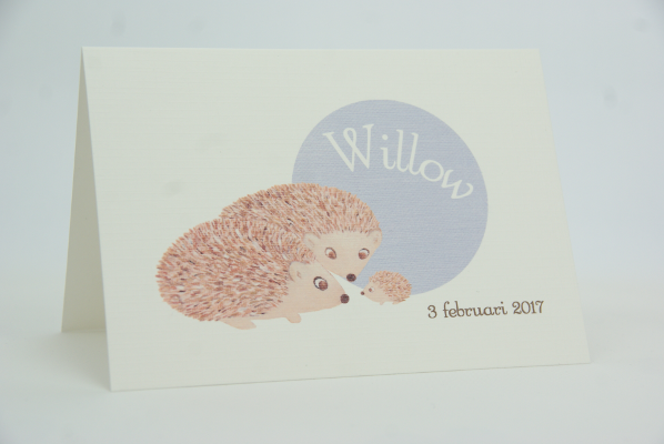 geboortekaartje willow lila